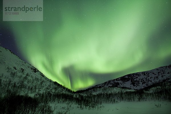 Beleuchtung  Licht  Himmel  über  grün  füllen  füllt  füllend  Kreis  Norwegen  Insel  Norden  Schönheit  Arktis  Tromso