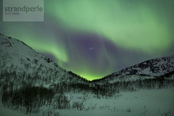 drehen  Himmel  über  grün  lila  Beleuchtung  Licht  Kreis  Norwegen  Insel  Norden  Arktis  Tromso