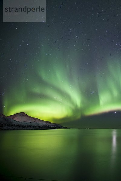 sternförmig  Beleuchtung  Licht  Norden  Polarlicht  Aurora