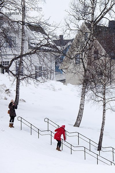 Stufe  Frau  Fotografie  nehmen  hängen  Schnee  Norwegen  rutschen  jung  Geländer  Treppengeländer  Verteidigung  Freund  Tromso