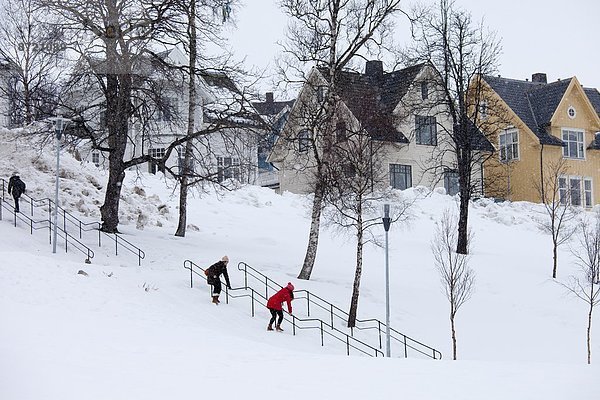 Stufe  Frau  Fotografie  nehmen  hängen  Schnee  Norwegen  rutschen  jung  Geländer  Treppengeländer  Verteidigung  Freund  Tromso