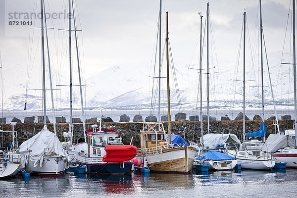 Segeln  Hafen  Motorjacht  Boot  vertäut  Tromso