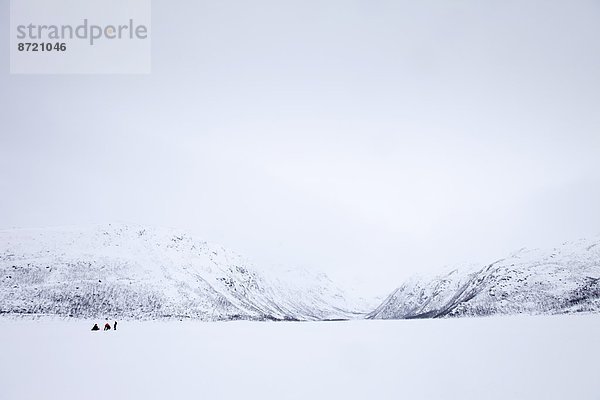 See  Eis  Kreis  Insel  Alpen  angeln  Geographie  Arktis  gefroren  Tromso