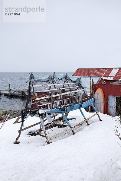 Dorsch Wäscheständer Tradition trocknen Kreis Insel Geographie Arktis Stockfisch Tromso