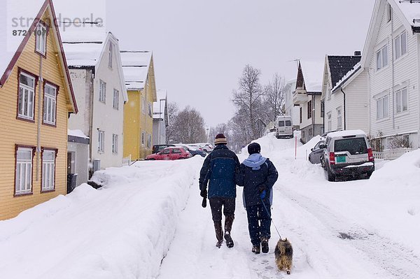 gehen  Straße  Hund  Stilleben  still  stills  Stillleben  Tromso