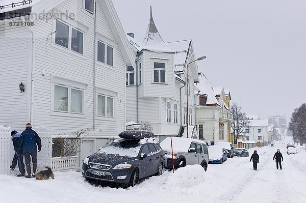 gehen  Straße  Hund  Stilleben  still  stills  Stillleben  Tromso