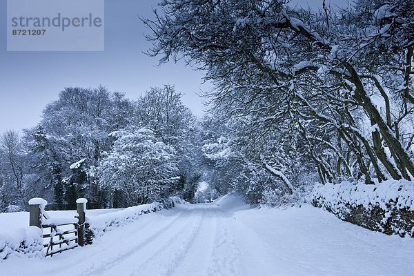 Landstraße  Tradition  Großbritannien  Stilleben  still  stills  Stillleben  Cotswolds  Oxfordshire  Schnee