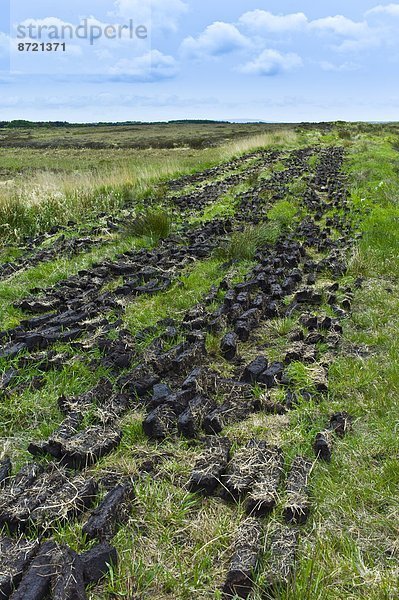 trocken  Torf  Sumpf  Clare County  liegend  liegen  liegt  liegendes  liegender  liegende  daliegen