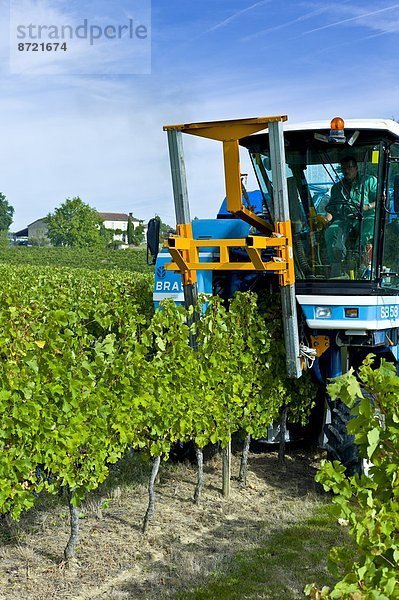 Traktor  Weintraube  Kletterpflanze  Palast  Schloß  Schlösser  Bellevue