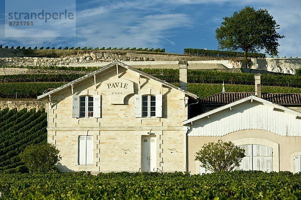 Frankreich  Wein  Palast  Schloß  Schlösser  Geographie  Bordeaux