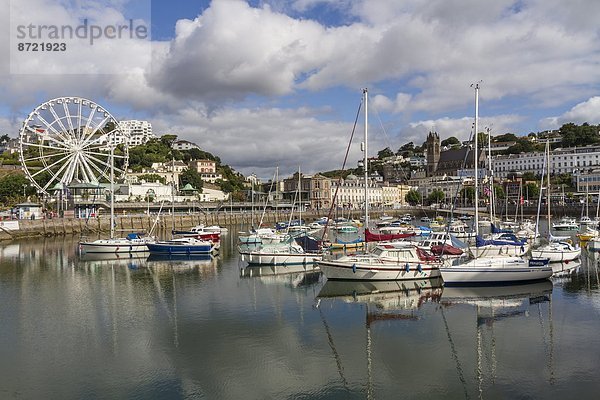 Hafen  Europa  Großbritannien  Devon  England  Torquay