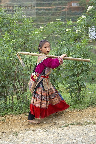 Südostasien  Vietnam  Asien