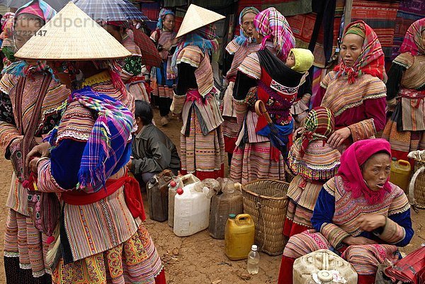 Blume  Ethnisches Erscheinungsbild  Südostasien  Vietnam  Asien  Markt