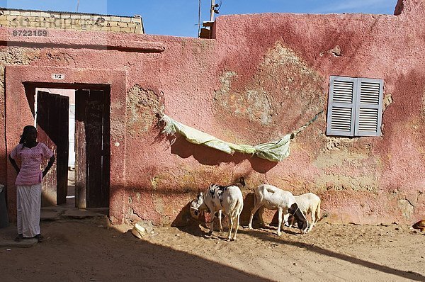 Westafrika UNESCO-Welterbe Afrika Senegal