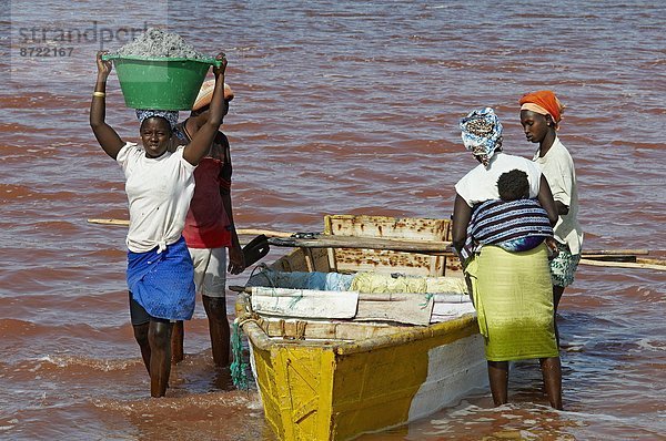 Westafrika  See  sammeln  pink  Afrika  Speisesalz  Salz  Senegal