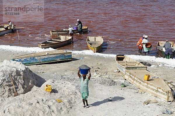 Westafrika  See  sammeln  pink  Afrika  Speisesalz  Salz  Senegal