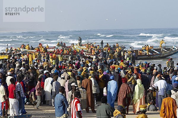 Westafrika  Hafen  Fisch  Pisces  Afrika  Senegal