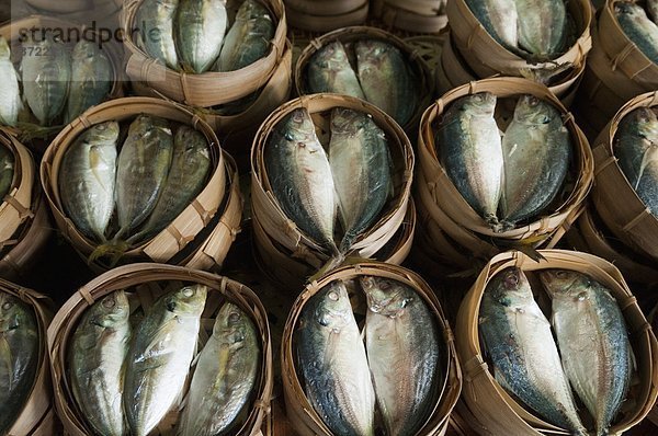 Vientiane  Hauptstadt  Behälter  Fisch  Pisces  Start  verkaufen  Bambus  Wasserdampf  Südostasien  Vietnam  Asien  Laos  Markt  Tanga