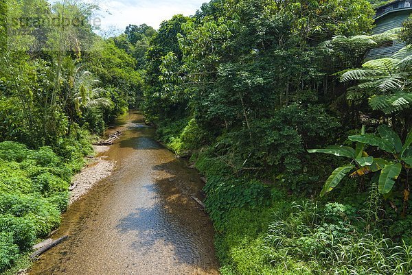 Südostasien  Asien  Malaysia  Sarawak