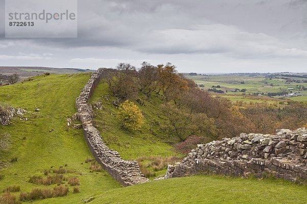 Hadrianswall  UNESCO Weltkulturerbe  Northumberland  England  Vereinigtes Königreich  Europa