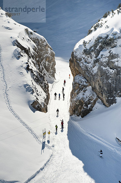 Skifahrer  Osterfelder-Abfahrt  Wettersteingebirge  Alpspitze  Garmisch-Partenkirchen  Oberbayern  Bayern  Deutschland