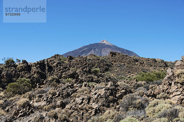 Vulkanlandschaft  Hochebene Llano de Uruanca mit Pico del Teide  3718m  Parque Nacional de las Cañadas del Teide  Teide-Nationalpark  UNESCO Weltnaturerbe  Teneriffa  Kanarische Inseln  Spanien