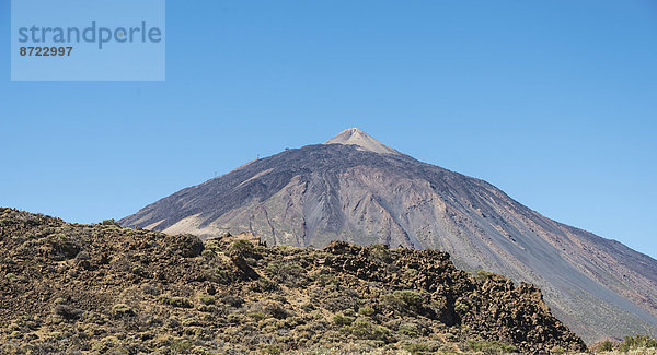 Vulkanlandschaft  mit Sträuchen bewachsene Hochebene Llano de Uruanca mit Pico del Teide  3718m  Parque Nacional de las Cañadas del Teide  Teide-Nationalpark  UNESCO Weltnaturerbe  Teneriffa  Kanarische Inseln  Spanien