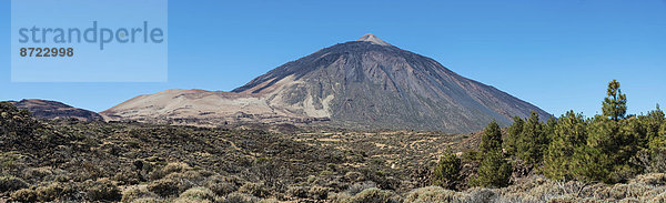 Vulkanlandschaft  mit Sträuchen bewachsene Hochebene Llano de Uruanca mit Pico del Teide  3718m  Parque Nacional de las Cañadas del Teide  Teide-Nationalpark  UNESCO Weltnaturerbe  Teneriffa  Kanarische Inseln  Spanien