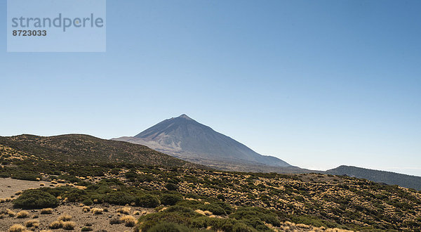 Vulkanlandschaft  mit Sträuchern bewachsene Hochebene Llano de Uruanca mit Pico del Teide  3718m  Parque Nacional de las Cañadas del Teide  Teide-Nationalpark  UNESCO Weltnaturerbe  Teneriffa  Kanarische Inseln  Spanien