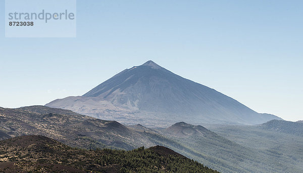 Vulkanlandschaft und Kiefernwald mit Pico del Teide  3718m  und kleineren Kratern  Parque Nacional de las Cañadas del Teide  Teide-Nationalpark  UNESCO Weltnaturerbe  Teneriffa  Kanarische Inseln  Spanien