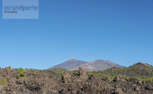 Pico del Teide  Vulkanlandschaft  Parque Nacional de las Cañadas del Teide  Teide-Nationalpark  UNESCO Weltnaturerbe  Teneriffa  Kanarische Inseln  Spanien