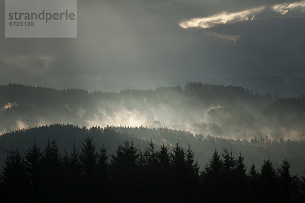 Sonnenstrahlen durchbrechen Regenwolken  Weitnau  Oberallgäu  Bayern  Deutschland