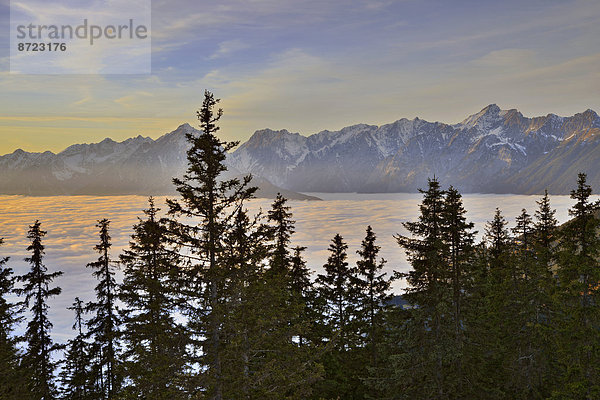 Nebel über dem Inntal  dahinter Karwendel-Gebirge  Sonnenuntergang  vom Loassattel aus gesehen  Schwaz  Tirol  Österreich