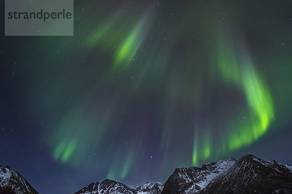 Polarlichter  Aurora borealis  Gimsoy  Lofoten  Norwegen