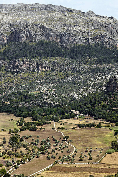 Landschaft im Tramuntana-Gebirge  Mallorca  Balearen  Spanien