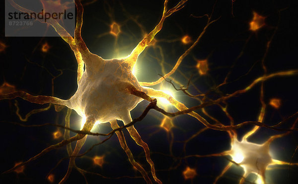 Nahaufnahme von menschlichen Nervenzellen