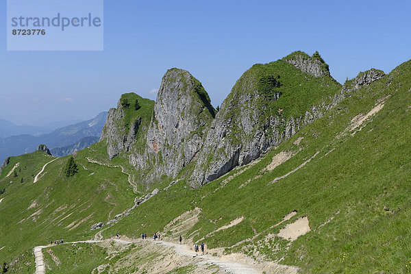 Weg zur Rotwand  Spitzingseegebiet  Mangfallgebirge  Oberbayern  Bayern  Deutschland