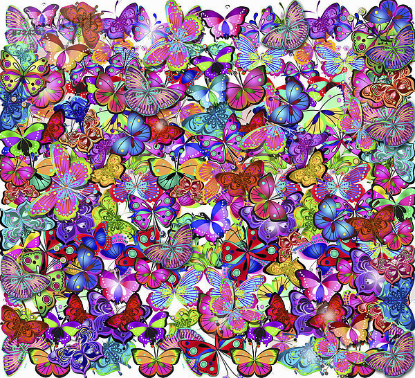 Aufwendiges buntes Schmetterlingsmuster