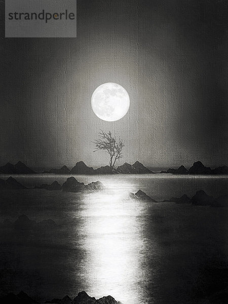 Stimmungsvolles Mondlicht spiegelt sich auf der Wasseroberfläche  Umrisse von Bäumen und Felsen