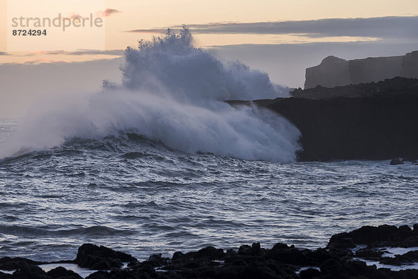 Hohe Wellen schlagen gegen Steilküste  Þrælavík  Snæfellsnes  Island