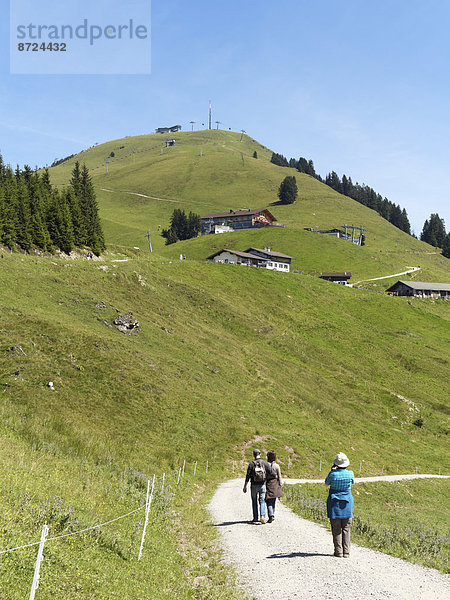 Hohe Salve  Kitzbüheler Alpen  Tirol  Österreich