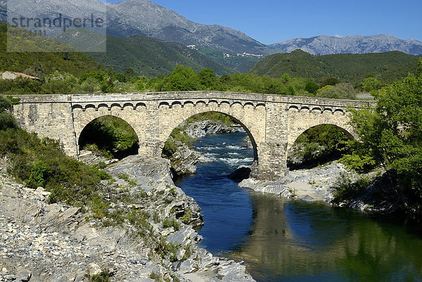 Genueserbrücke am Fluss Tavignano  nahe Altiani  Département Haute-Corse  Korsika  Frankreich
