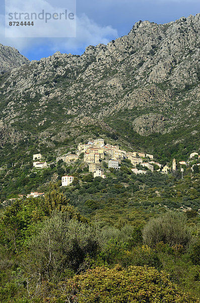 Frankreich Berg Tal Dorf Lama Lama buanicoe glama Korsika