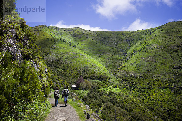 Wilde  grün bewachsene Gebirgslandschaft mit Wanderweg und Wanderern  Madeira  Portugal