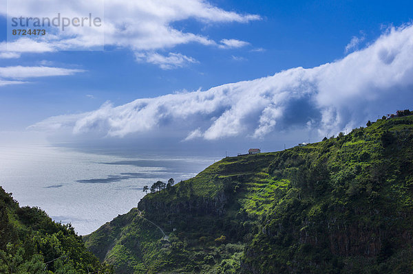 Wilde  grün bewachsene Küstenlandschaft  Madeira  Portugal