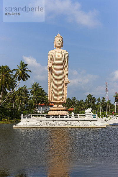 Buddha-Skulptur zum Gedenken an die Tsunamikatastrophe vom 26.12.2006  Region Pereliya  Südprovinz  Sri Lanka