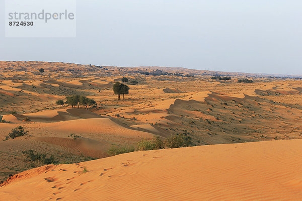 Wüste Rub al-Chali  Vereinigte Arabische Emirate