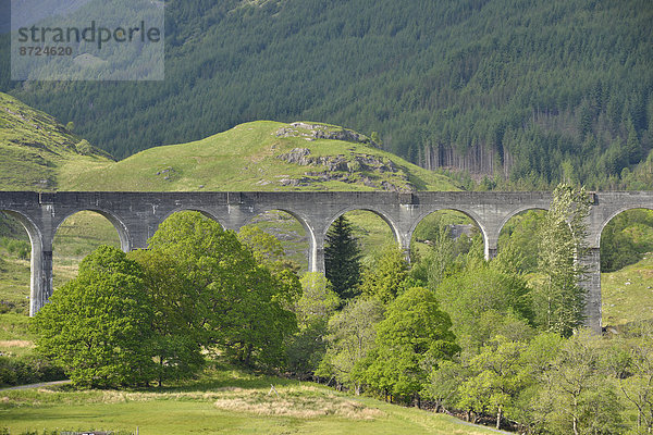 Glenfinnan-Viadukt an der Strecke der West Highland Line  bekannt durch die Harry-Potter-Filme  Glenfinnan  Highlands  Schottland  Großbritannien