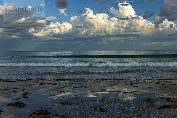 Wellen an der Küste  Augusta  Western Australia