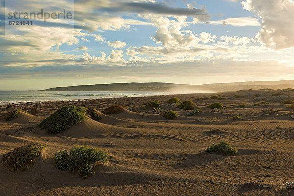 Südküste und kleine Sanddünen  Augusta  Western Australia